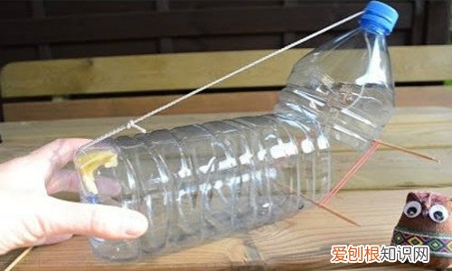 捕鼠器制作的4种方法 制作捕鼠器都有哪些步骤