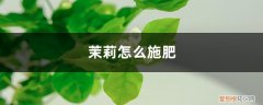 茉莉怎么施肥不烧根 茉莉怎么施肥