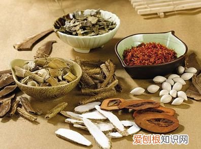 减肥茶配方推荐 掌握这5个配方不信瘦不下来