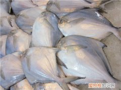 鲳鱼价格多少钱一斤 没想到鲳鱼这么有营养呢