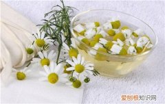 洋甘菊精油的5大作用 精油提取都采用什么方法