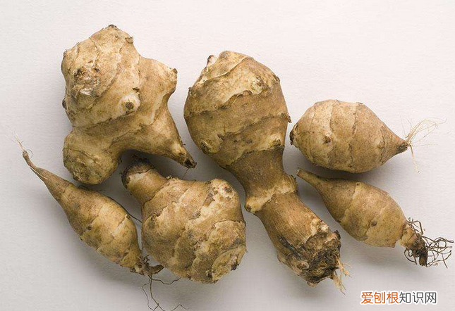 洋姜的腌制方法 教你做超简单的腌洋姜