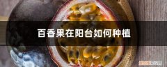 百香果在阳台如何种植呢 百香果在阳台如何种植