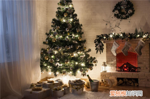 真圣诞树是用什么树 用完的圣诞树去哪了
