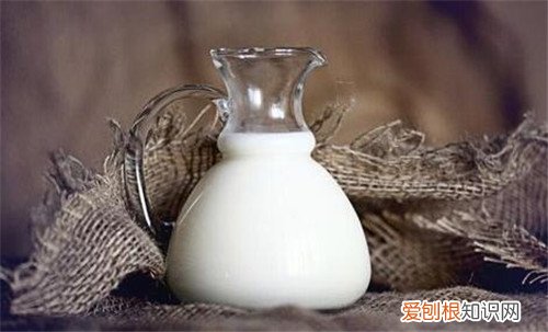 喝什么牛奶最好 牛奶什么时候喝好吸收