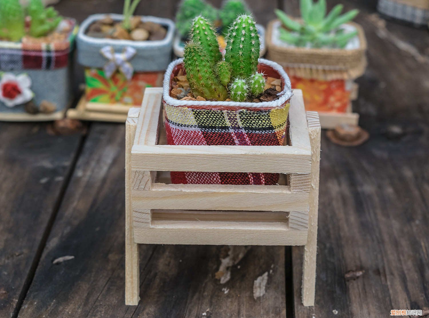 仙人球里面烂了化成水 烂掉的仙人球,切一刀扔水里,满瓶子都是大白根!