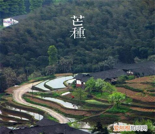 你知道芒种是什么意思吗 芒种养生你需要知道这些