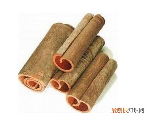 桂皮价格是多少 桂皮功效和禁忌有哪些