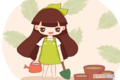 昨天种下饱满的种子,今天 入秋后赶紧撒把种子，一开一大片，满阳台挤不下！