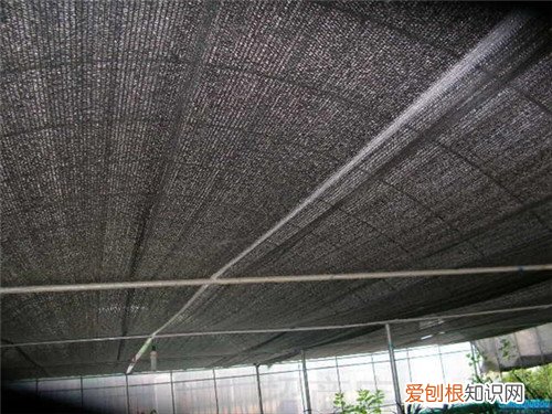 屋顶隔热材料有哪些 屋顶怎么做隔热效果好