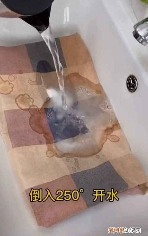 羊最容易得的疾病怎么治疗,床单上紫药水怎么洗掉小窍门