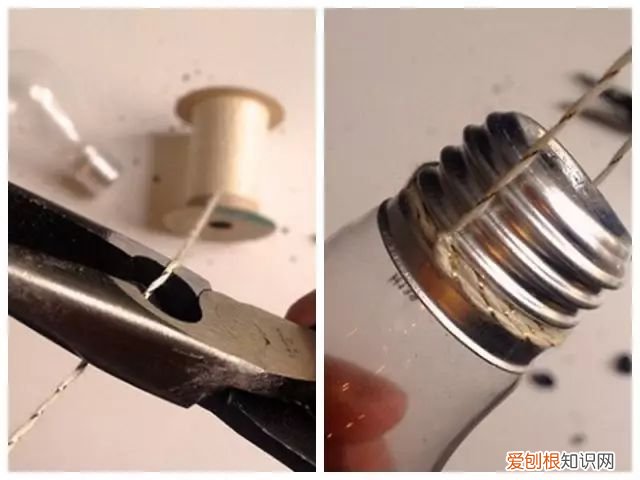 茶叶盒千万别扔掉,种上可爱的多肉植物,瞬间让家美出新高度~,茶叶罐种多肉