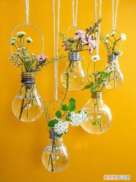 茶叶盒千万别扔掉,种上可爱的多肉植物,瞬间让家美出新高度~,茶叶罐种多肉