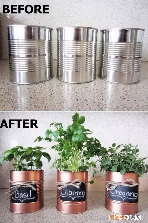 茶叶盒千万别扔掉,种上可爱的多肉植物,瞬间让家美出新高度~,茶叶罐种多肉