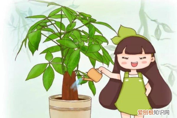 万能浇水神器,就是1根小吸管,专治烂根黄叶的植物 万能浇水神器，就是1根小吸管，专治烂根黄叶！