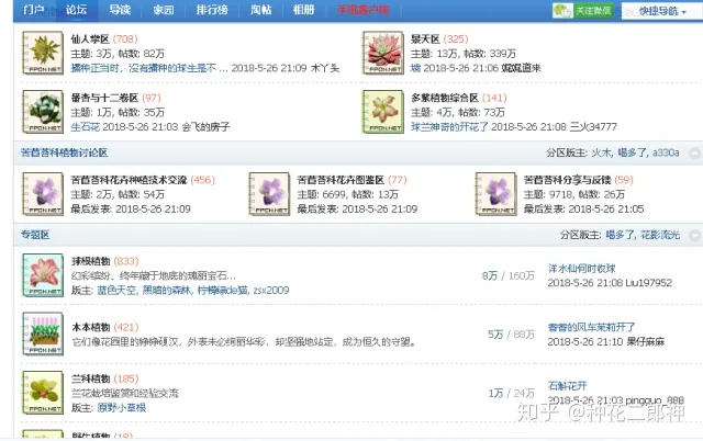 怎样才能养活花,如何从零开始养花