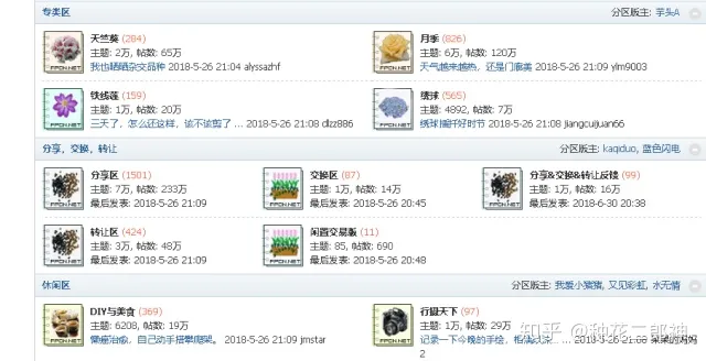 怎样才能养活花,如何从零开始养花