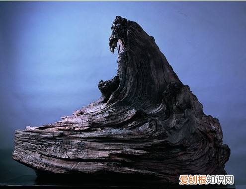 阴沉木是什么 阴沉木鉴定方法