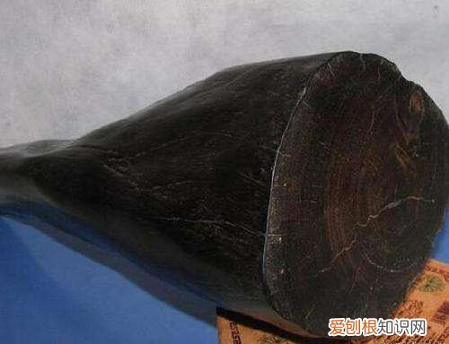 阴沉木是什么 阴沉木鉴定方法