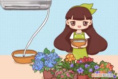 用自来水养花能养活吗 家家都有的废水，竟是养花万能水，养啥旺啥！