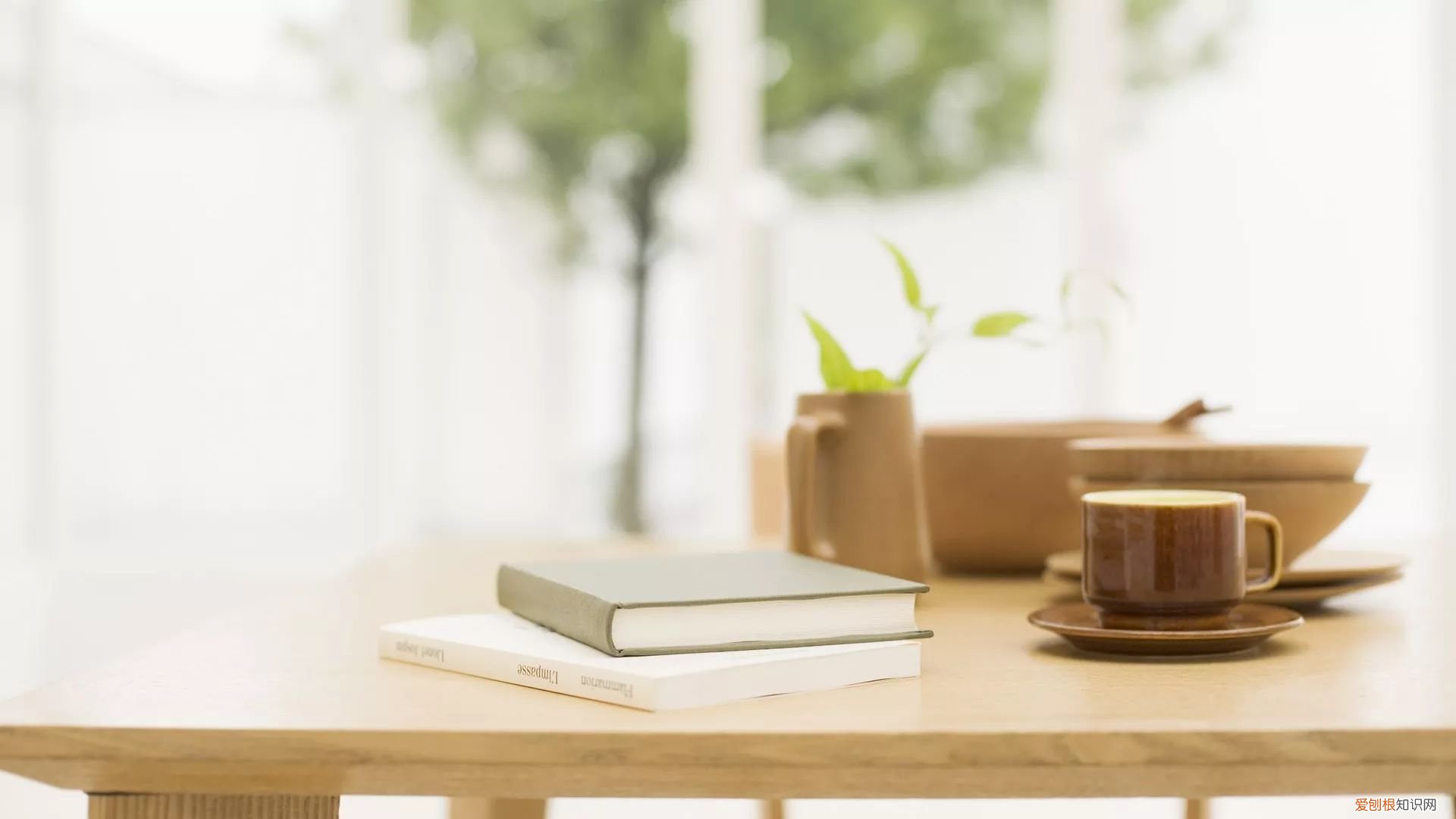 教你一些小技巧，让新家快速去味！，新家装修怎么快速去味