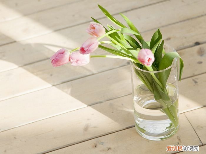 教你一些小技巧，让新家快速去味！，新家装修怎么快速去味