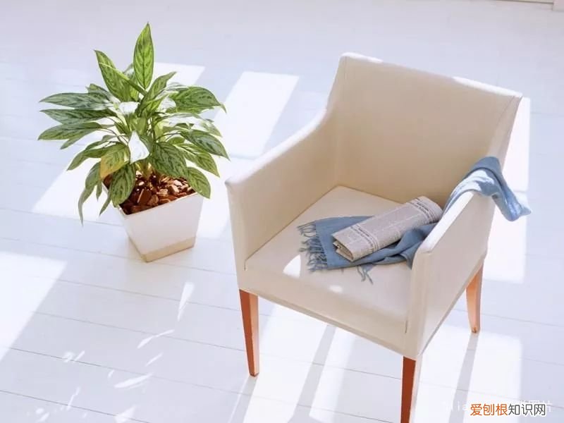 教你一些小技巧，让新家快速去味！，新家装修怎么快速去味