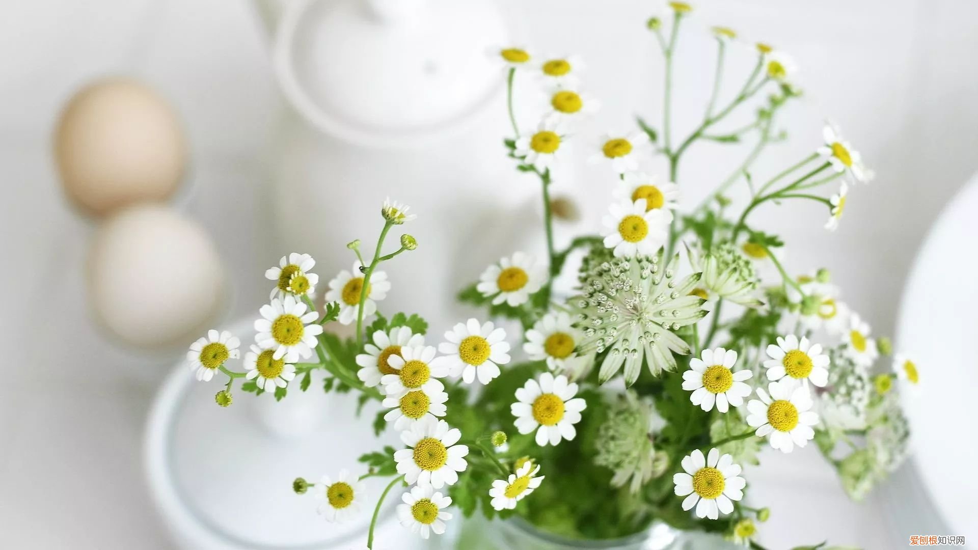 教你一些小技巧，让新家快速去味！，新家装修怎么快速去味