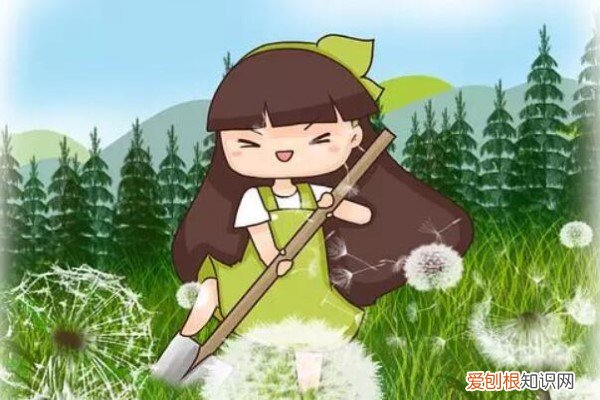 爬趟山竟然带回10盆花，一分钱没花，连土都省了！