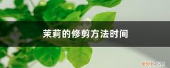 茉莉的修剪方法和注意事项 茉莉的修剪方法时间