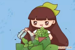 养花草招蚊子如何应付 养花就爱招蚊虫？加点它，蚊子闻了绕道跑！