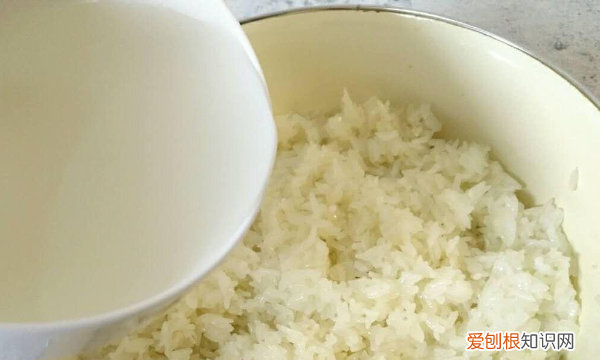 甜酒怎么煮好喝，米酒煮过后酒精会挥发掉吗