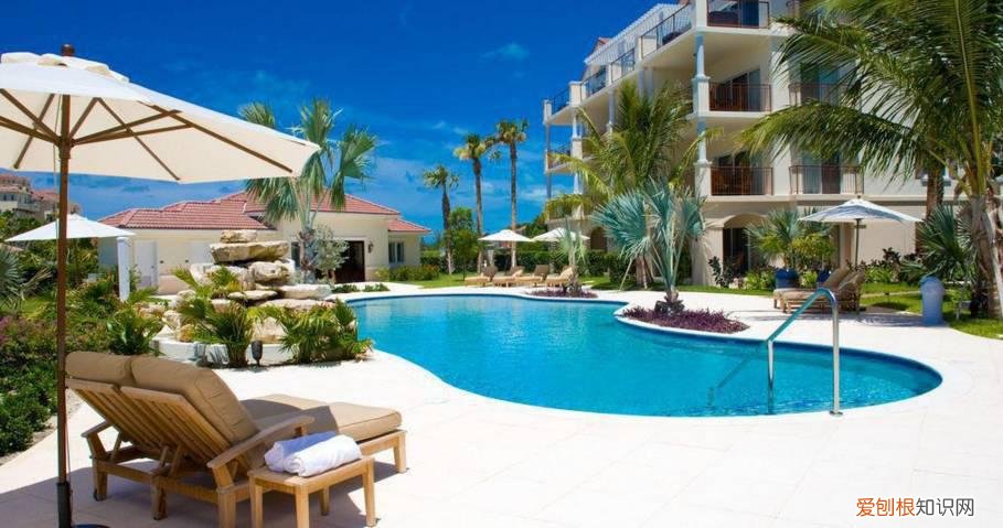 别墅最最最不能少的就是游泳池!这样的泳池来一扎!,带泳池花园的别墅