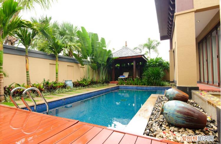 别墅最最最不能少的就是游泳池!这样的泳池来一扎!,带泳池花园的别墅