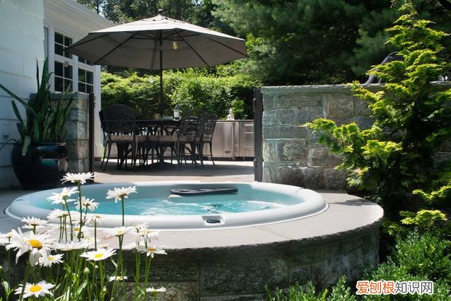 别墅最最最不能少的就是游泳池!这样的泳池来一扎!,带泳池花园的别墅