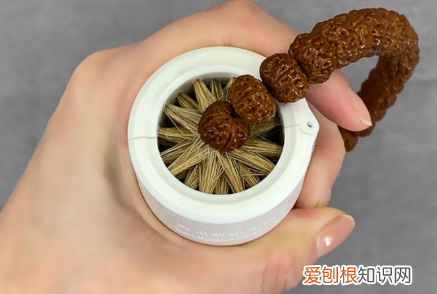 霸王龙手串怎么盘,霸王龙手串用什么刷子上色快一点