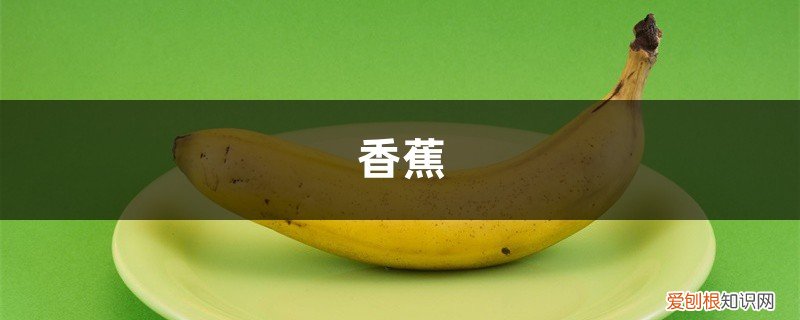 蔫了香蕉紫了葡萄 香蕉皮烂葡萄…丢盆里，花像吃了药，开花刹不住闸！