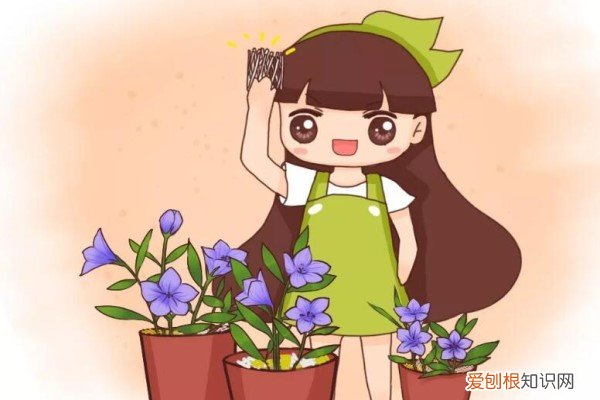 玉米面能太阳晒吗 玉米皮扔盆面,气温连降10℃,太阳再晒也不怕死!
