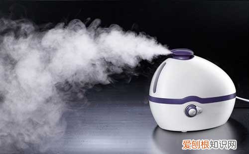 家用加湿器有什么作用 家用加湿器的注意事项