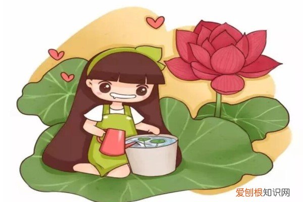 在路边捡的石头 路边捡了几块石头，拿来养花，朋友都抢疯了！