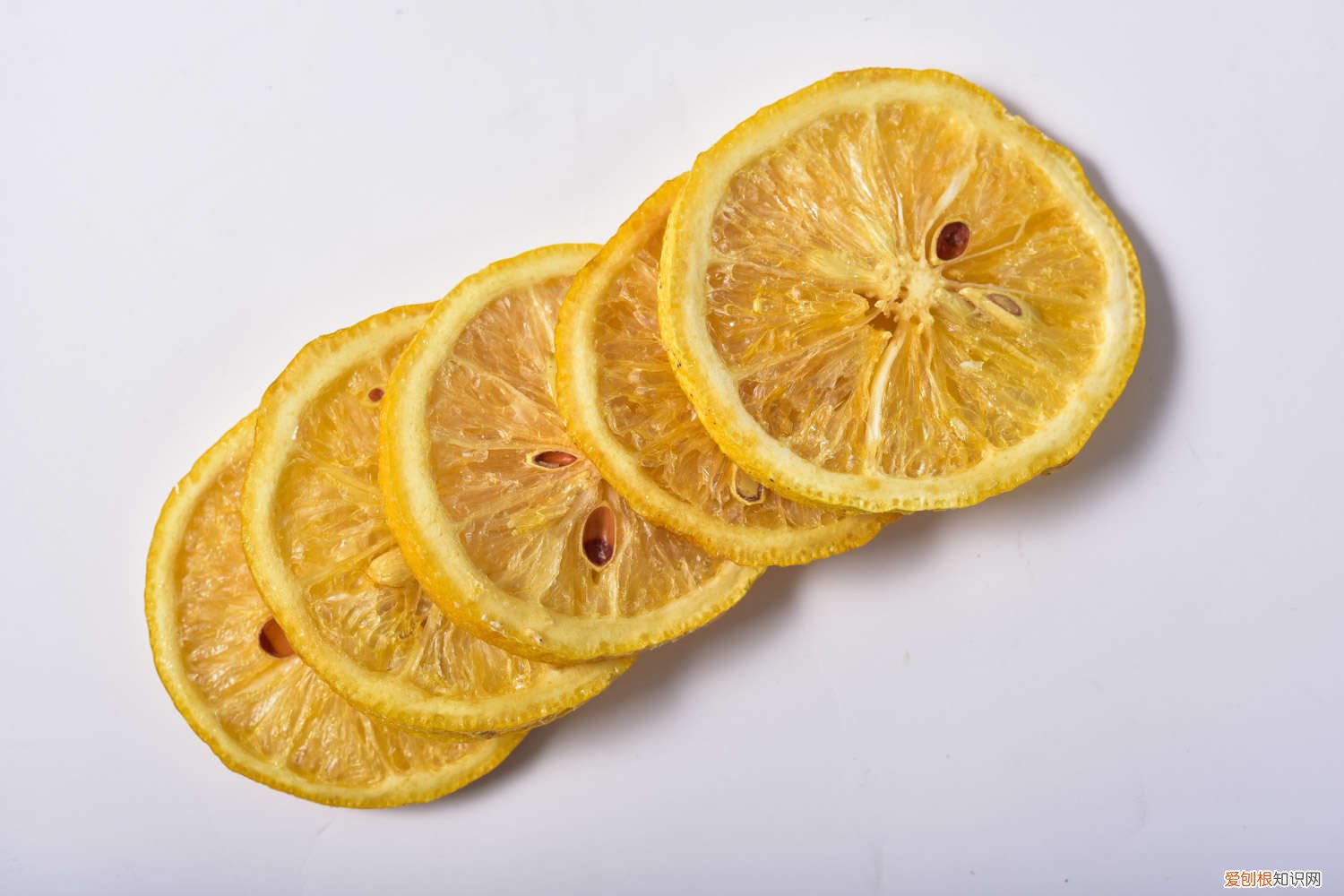 柠檬花怎样管理 柠檬花怎么养护