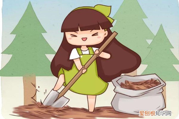 为什么地栽的花卉不烂根 养花就选这种土，不烂根不黄叶，夏天也能蹭蹭爆盆！
