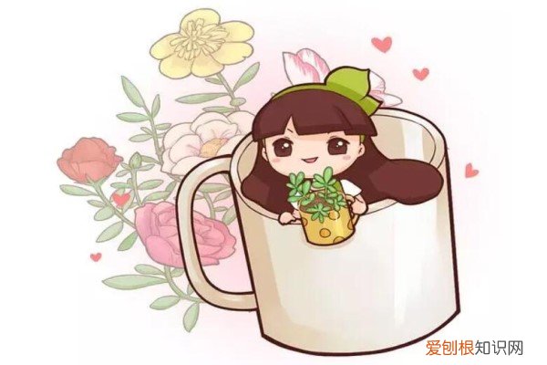 这东西一毛钱不值，夏天铺花盆里，叶片肥大油绿呼呼爆盆！