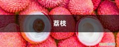 荔枝核怎么去挖掉 荔枝吃完核别丢，随手扔土里，10天竟然爆盆了！