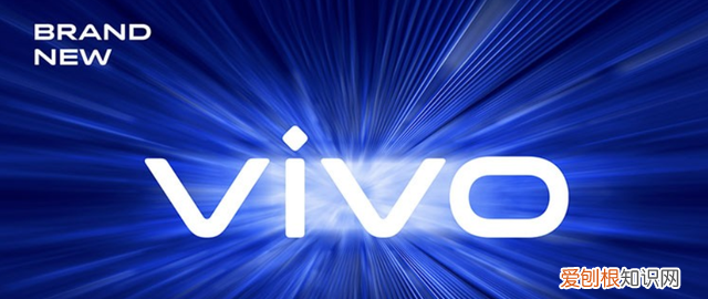 vivo手机字体类型在哪里设置