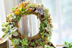 怎么用吸管做一束花 养花还用花钱？一根吸管就搞定，学1招省老钱了！
