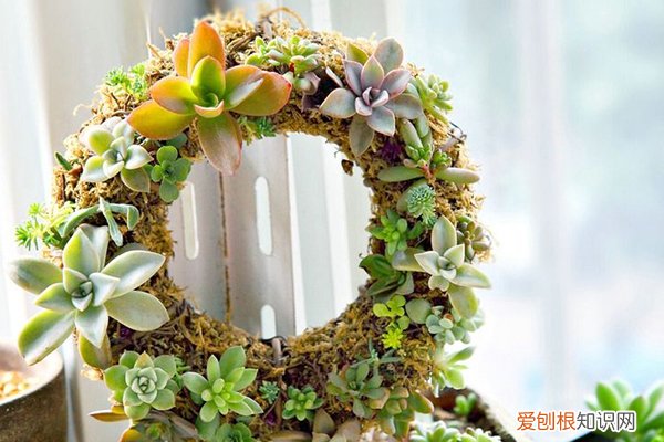 怎么用吸管做一束花 养花还用花钱？一根吸管就搞定，学1招省老钱了！