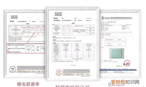 不带花边的乳胶冰丝凉席 凉而不冰的冰丝乳胶凉席