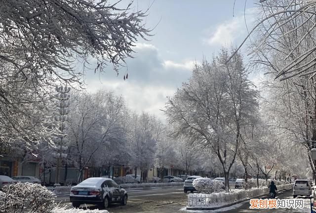 四月雪花飘下句是什么