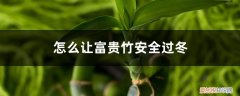 富贵竹怎么安全度过冬天 怎么让富贵竹安全过冬，冻伤了怎么办